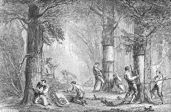 Bark (Gathering the Bark of the Cork Tree) ; engraved by Charles Laplante (d.1903) von (after) A. Faguet