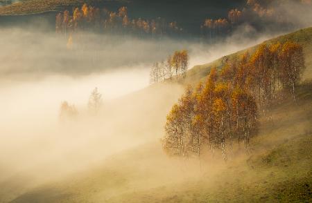 Herbstmorgen aus den Apuseni-Bergen