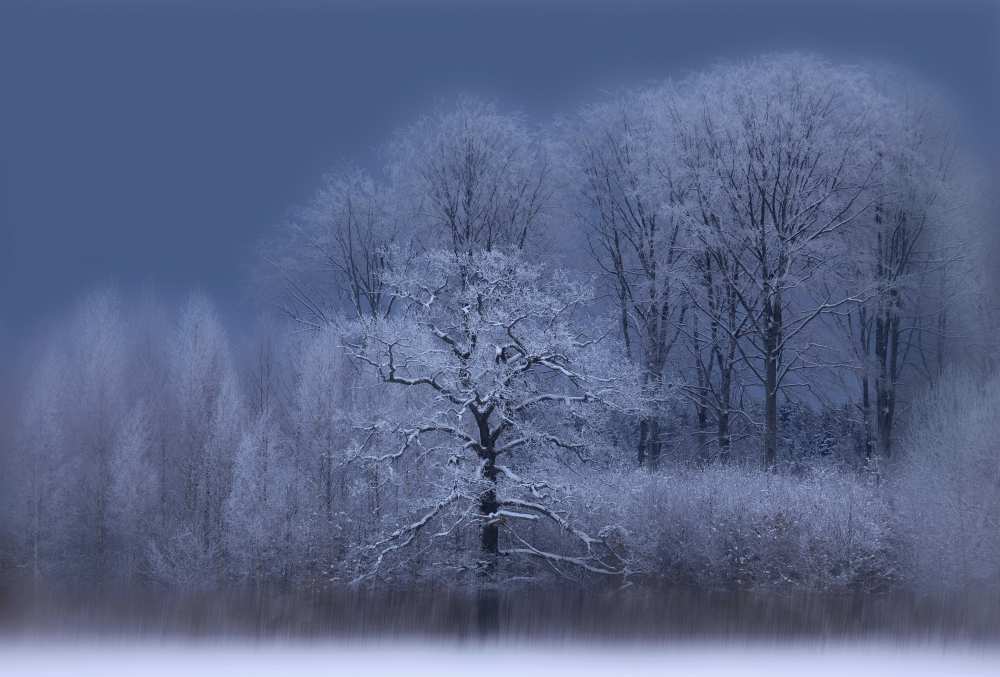Winter von Allan Wallberg
