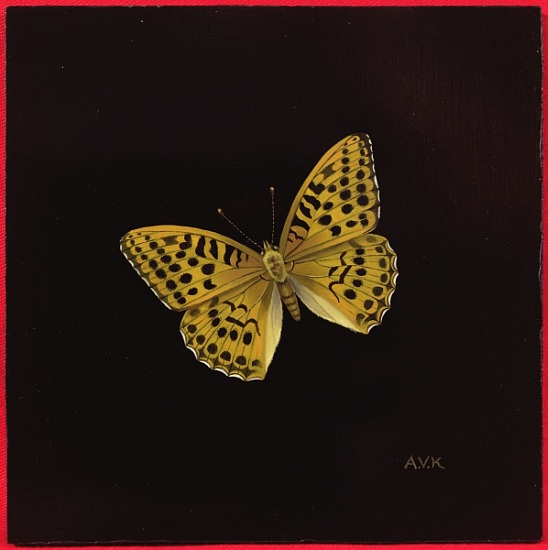 Silver washed fritillary butterfly von  Amelia  Kleiser