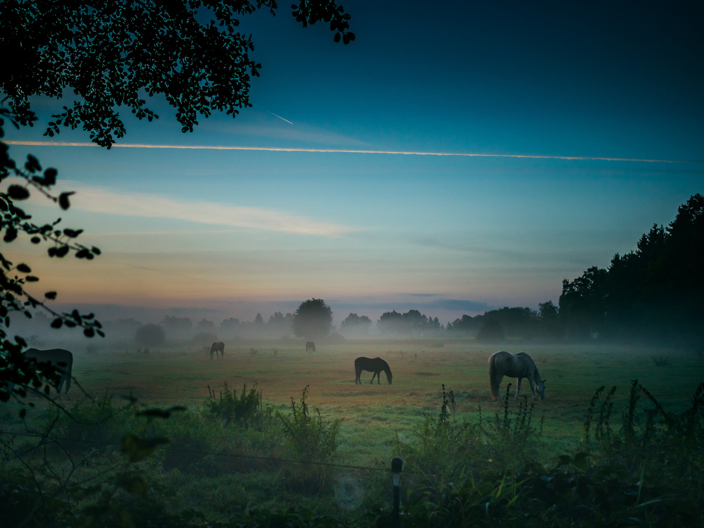 Vor dem Sonnenaufgang. von Arne Jansen