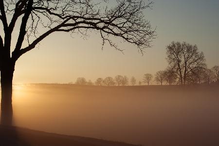 Sonnenaufgang im Valley Forge Nationalpark