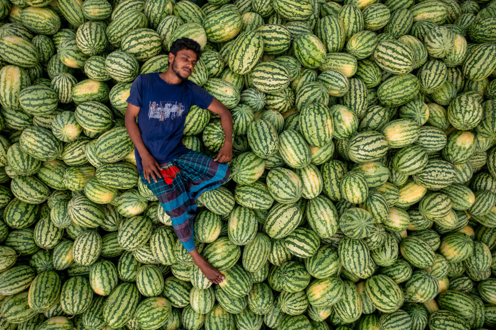 Schlafen Sie über den Wassermelonen von Azim Khan Ronnie