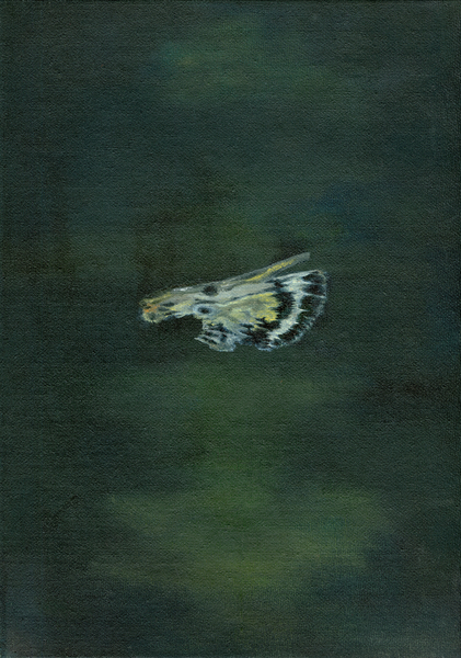 Moth Wing von Bella Larsson