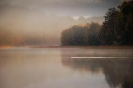 Der erste Schwimmschwung des Morgens