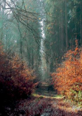 Herbst im Sachsenwald bei Hamburg 2 2001