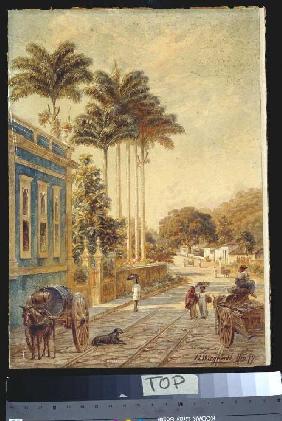 Straße in Rio de Janeiro 1879