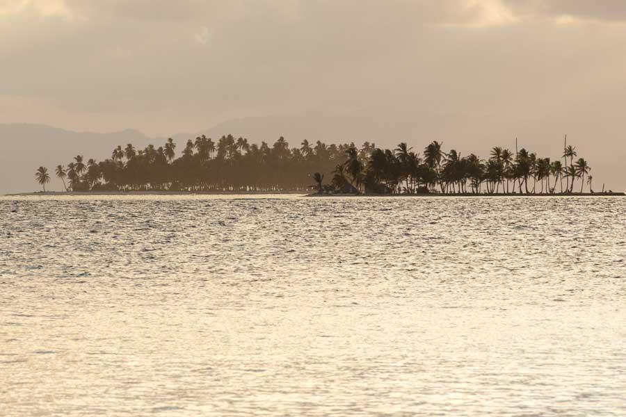 Palmen (Panama)