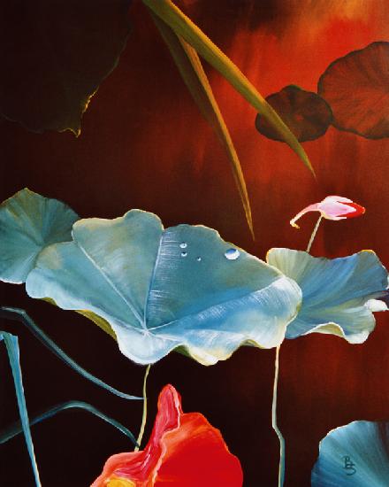 Kapuzinerkresse mit Blüte 2003