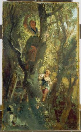 Mädchen auf dem Baum Um 1875/80