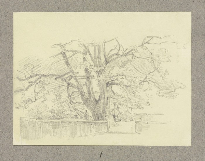 Alter Baum, umgeben von Mäuerchen von Carl Theodor Reiffenstein