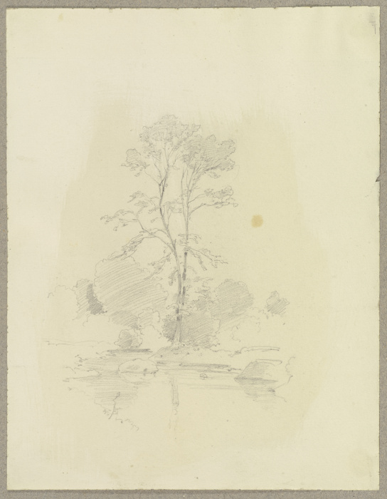 Baum an einem Gewässer von Carl Theodor Reiffenstein