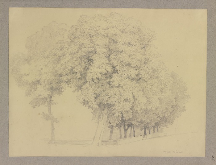 Baumgruppe an einem Mäuerchen von Carl Theodor Reiffenstein