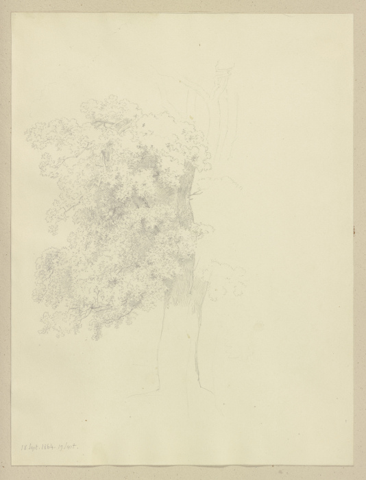 Großer Baum von Carl Theodor Reiffenstein