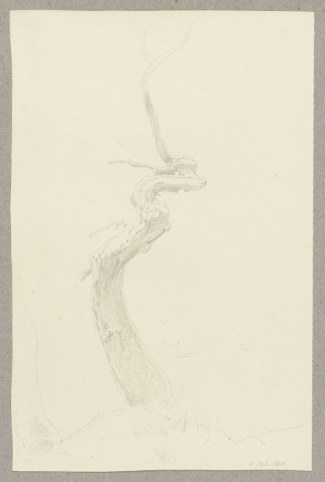 Krumm gewachsener kahler Baum von Carl Theodor Reiffenstein