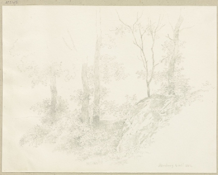 Waldpartie bei Homburg von Carl Theodor Reiffenstein
