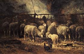 The Large Sheepfold 1881