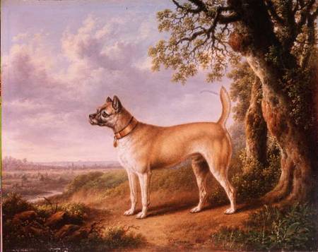 A Terrier on a path in a wooded landscape von Charles Towne