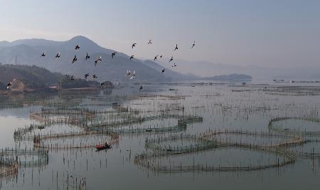 Eine Aquakulturfarm in Fuding