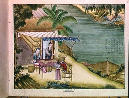 Ms 202 f.6 Sorting the Cocoons, from a book on the silk industry  on von Chinese School
