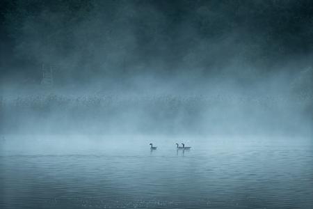 Dunkler und nebliger See