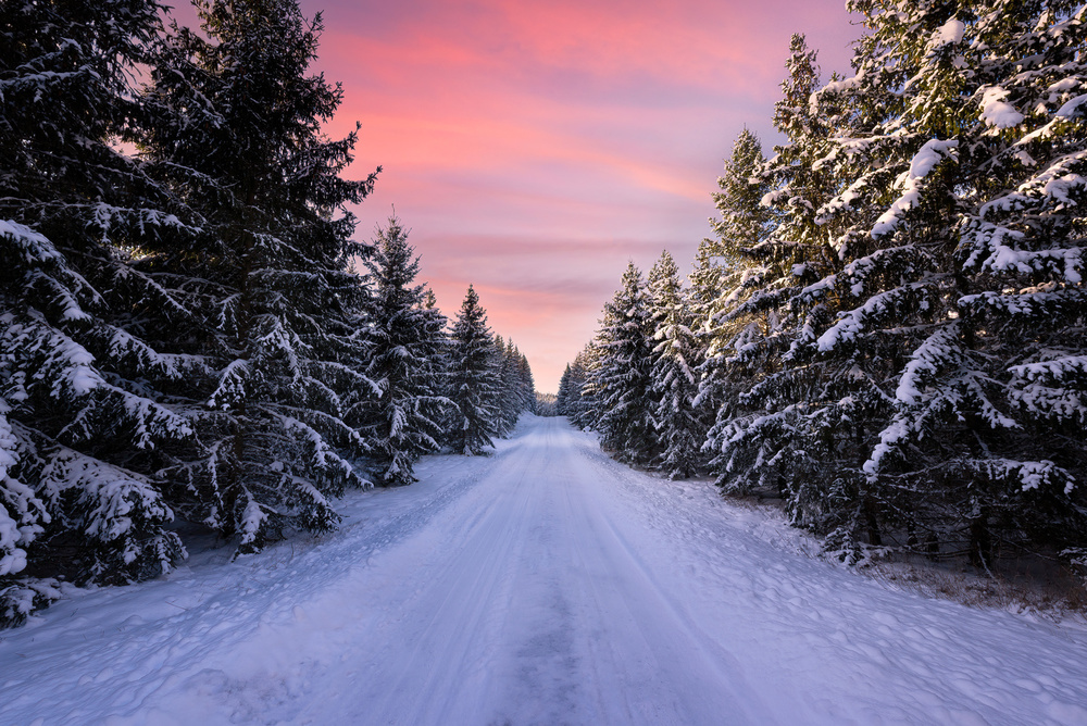 Straße in den Winterwald von Christian Lindsten