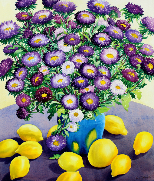 Purple Asters and Lemons von Christopher  Ryland