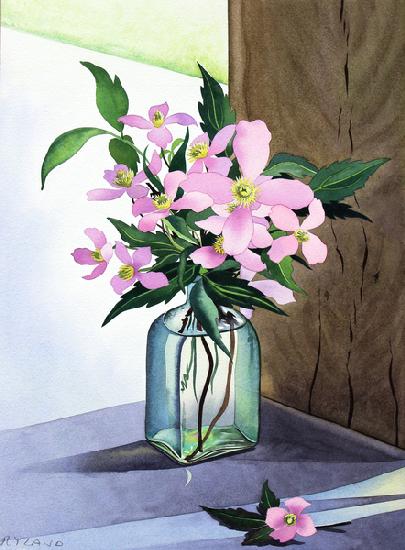 Still Life Pink Clematis 2015