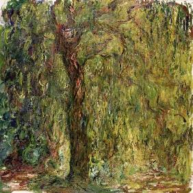 Weeping Willow 1918-19