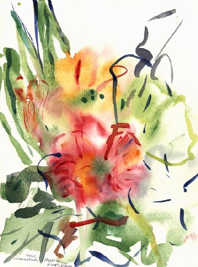 Primroses 2005