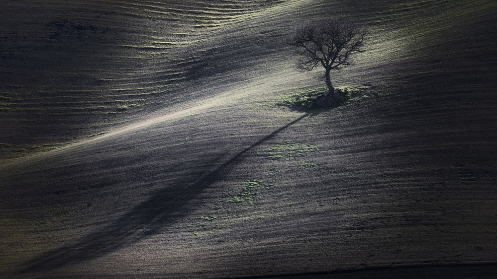 der lange Schatten von Claudio Moretti