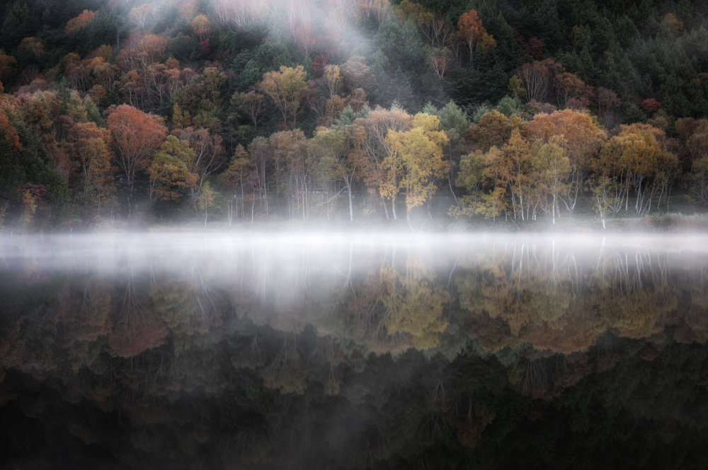 Der mystische Teich im Herbst 3 von Daiki Suzuki