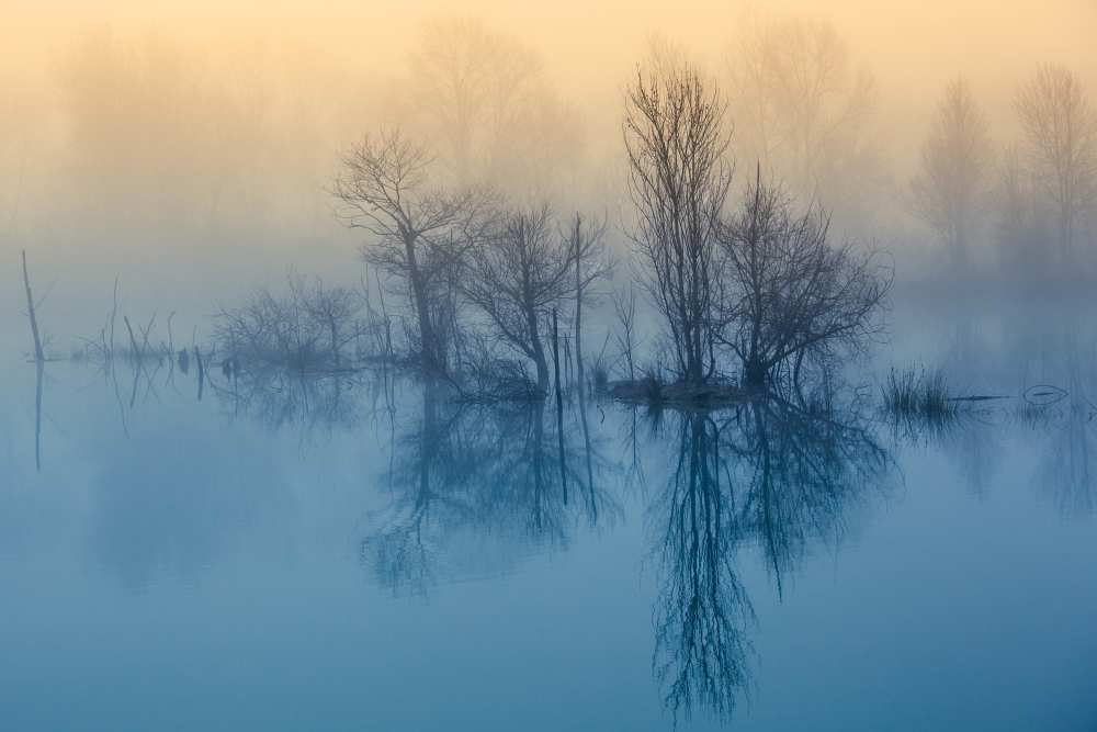 Morning reflection von David Butali