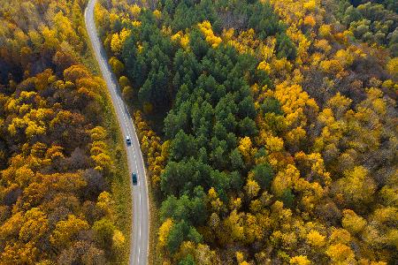 Helle Momente des Herbstes