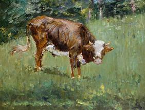 Young Bull in a Meadow 1881