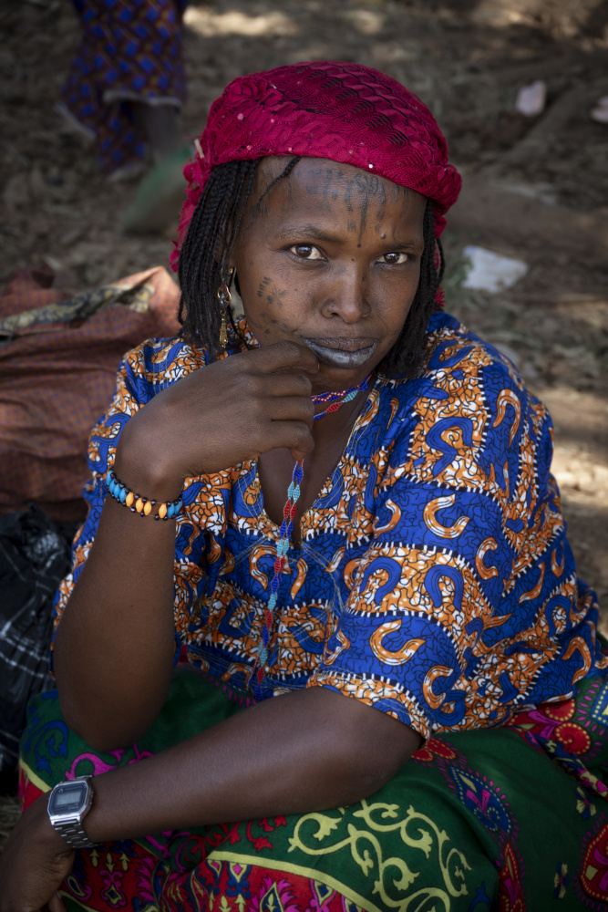 Fulani-Frau auf dem Poli-Markt,Kamerun von Elena Molina