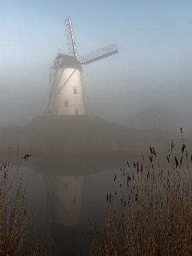 foggy morning