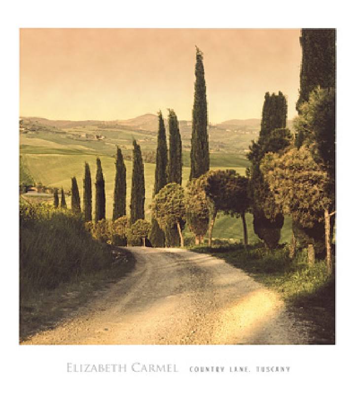 Bild:  Elizabet Carmel - Country Lane, Tuscany