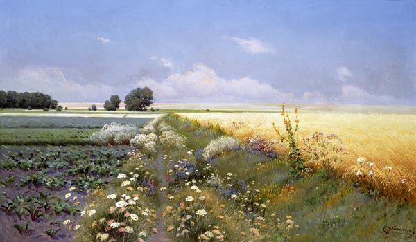 Summer Landscape von Eugeniusz Wrzeszcz