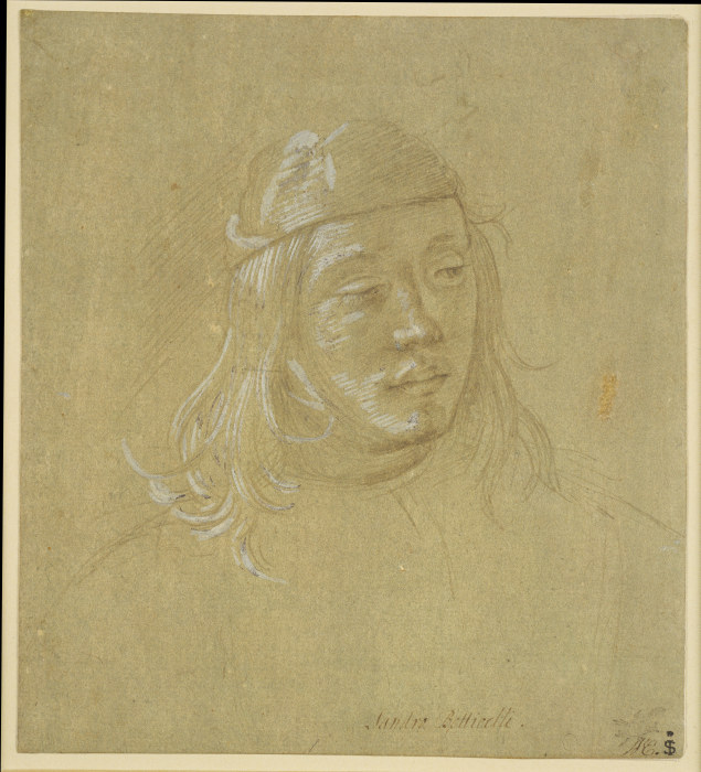 Bildnisstudie eines jungen Mannes von Filippino Lippi