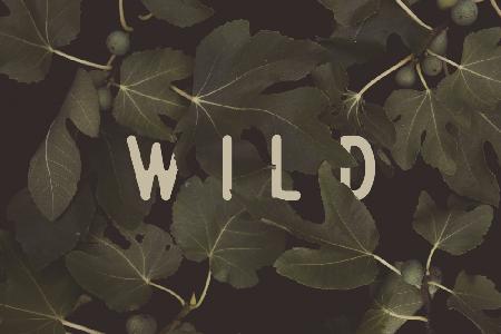 Wild Nr. 1