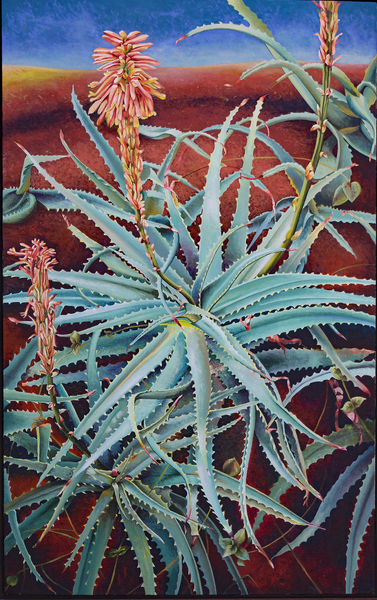 Aloe von Frances Ferdinands
