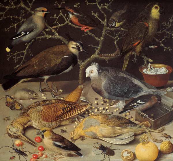 Still Life of Birds and Insects 1637