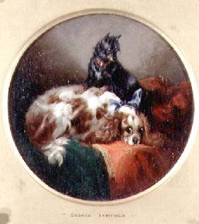 Blenheim Spaniel and Terrier Painting a