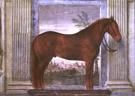 Sala dei Cavalli, detail showing a portrait of a chestnut horse from the stables of Ludovico Gonzaga von Giulio Romano