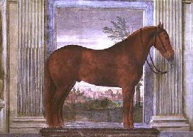 Sala dei Cavalli, detail showing a portrait of a chestnut horse from the stables of Ludovico Gonzaga 1528