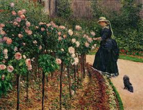 Roses in the Garden at Petit Gennevilliers 1886
