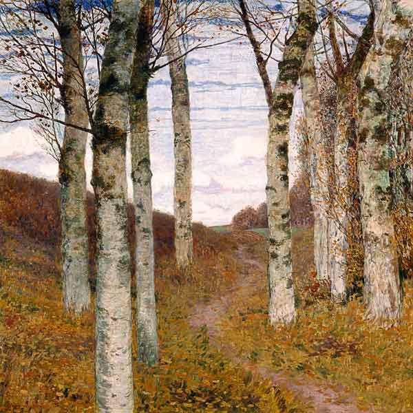 Birken im Herbst 1898