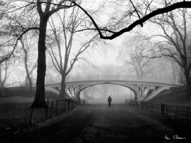 Bild:  Henri Silberman - Gothic Bridge, Central Park NYC