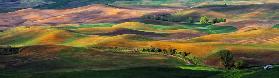 The Palouse